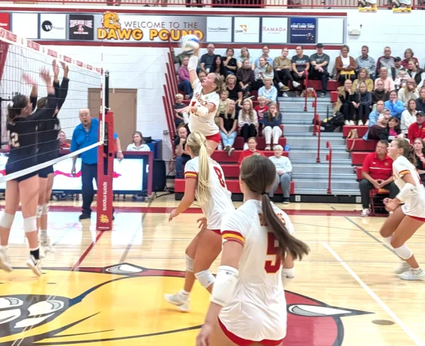Bulldogs volleyball outpaces Gremlins in three